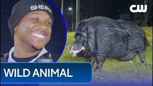 Video post by @thecw on YouTube