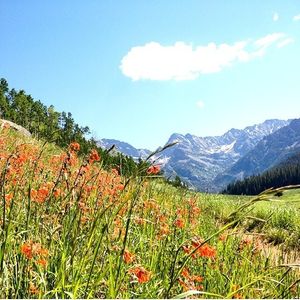 Image post by @vailmtn on Instagram