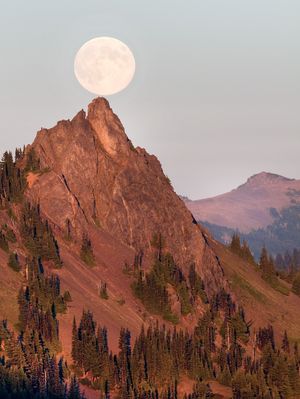 Image post by @olympic_nps on Instagram