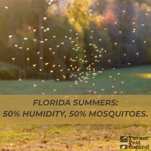 Image post by @TurnerPestControl on Facebook
