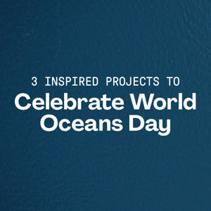 Image post by @pmi_org on Instagram