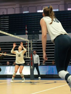 Image post by @samfordvb on Instagram