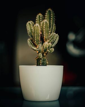 Image post by @chrisbolt on Instagram