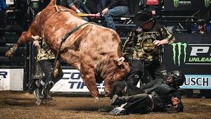 Video post by @pbr on YouTube