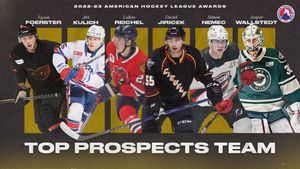 Image post by @TheAHL on Twitter