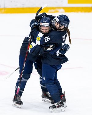 Image post by @leijonatfi on Instagram