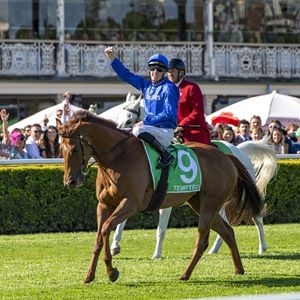 Image post by @godolphin on Instagram