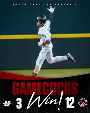 Image post by @gamecockbaseball on Instagram