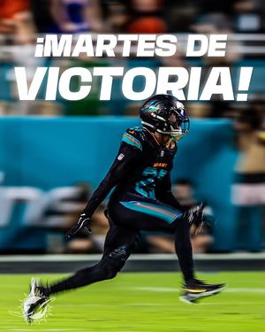 Image post by @losdolphins on Instagram