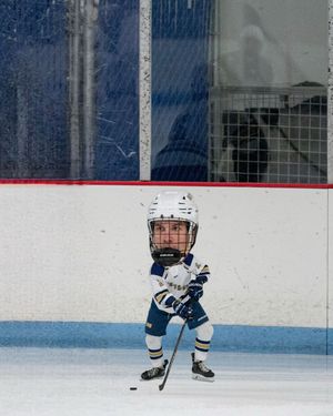 Image post by @gsuhockey on Instagram