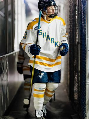 Image post by @liuwhockey on Instagram