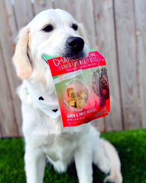 Image post by @charlee_bear_dogtreats on Instagram