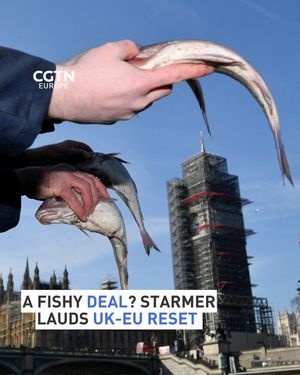 Image post by @cgtneurope on Instagram