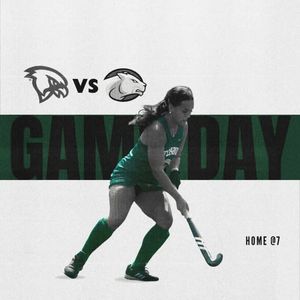 Image post by @fsufalconsfh on Instagram