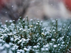 Image post by @psuoutreach on Instagram