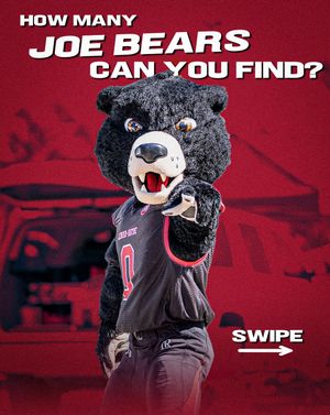 Image post by @bearssports on Instagram