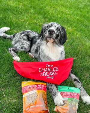 Image post by @charlee_bear_dogtreats on Instagram