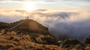Image post by @AvondaleTravel on Facebook