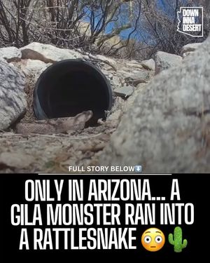 Image post by @downinnadesert on Instagram