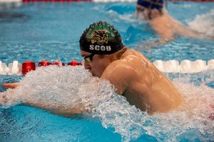 Image post by @cangianophoto on Instagram