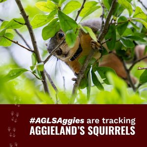 Image post by @aglifesciences on Facebook
