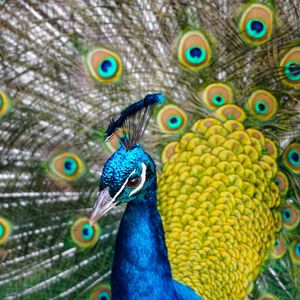 Image post by @discovery on Instagram
