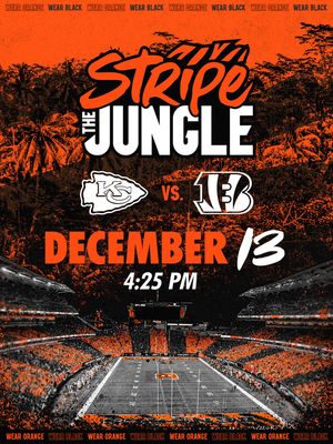 Image post by @bengals on Instagram