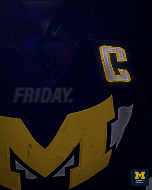 Image post by @umichwhockey on Instagram