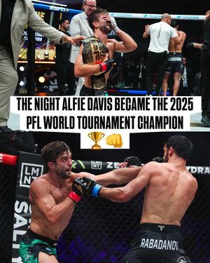 Image post by @pflmma on Instagram