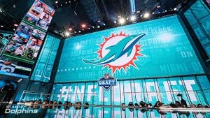 Video post by @dolphinstalk on YouTube