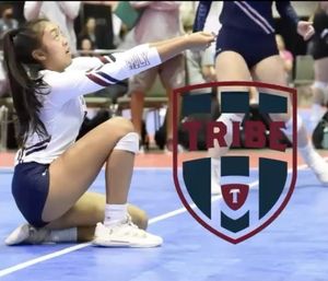 Image post by @mytribevolleyball on Instagram