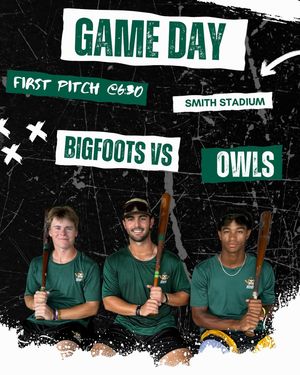 Image post by @bigfootsbaseball on Instagram