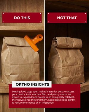 Image post by @ortho on Instagram