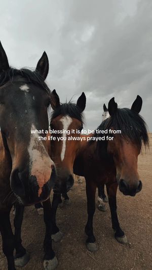 Video post by @spaceyykasey1 on TikTok