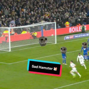 Image post by @leedsunited on TikTok