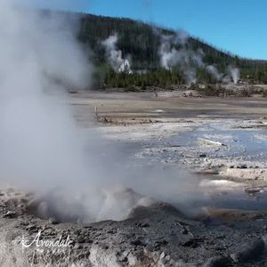 Video post by @AvondaleTravel on Facebook
