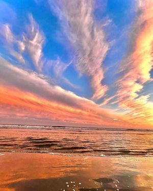 Image post by @southcarolina on Instagram