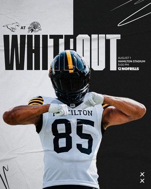 Image post by @hamiltontigercats on Instagram