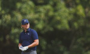 Image post by @__tl7 on Instagram