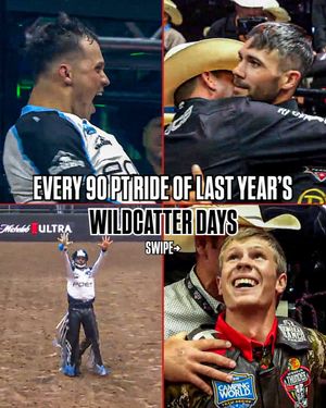 Image post by @pbr on Instagram