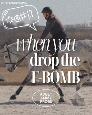 Image post by @theplaidhorsemag on Instagram