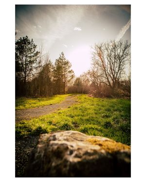 Image post by @stephenlasnickmedia on Instagram