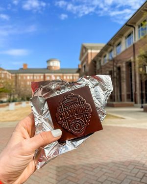 Image post by @ugacareercenter on Instagram