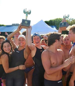 Image post by @arenausa on Instagram