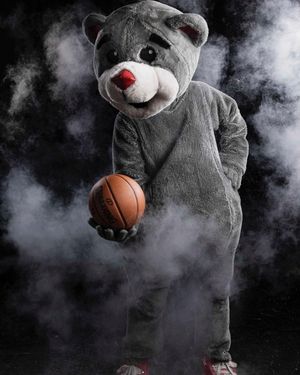 Image post by @rocketsmascotclutch on Instagram