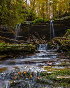 Image post by @cristan.nature.photography on Instagram