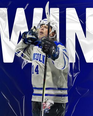 Image post by @LincolnStars on Twitter