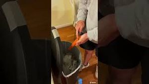 Video post by @bostonwithemily on YouTube