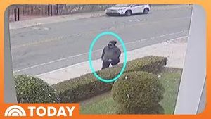 Video post by @today on YouTube