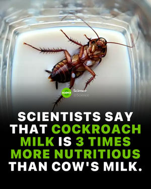 Image post by @science on Instagram